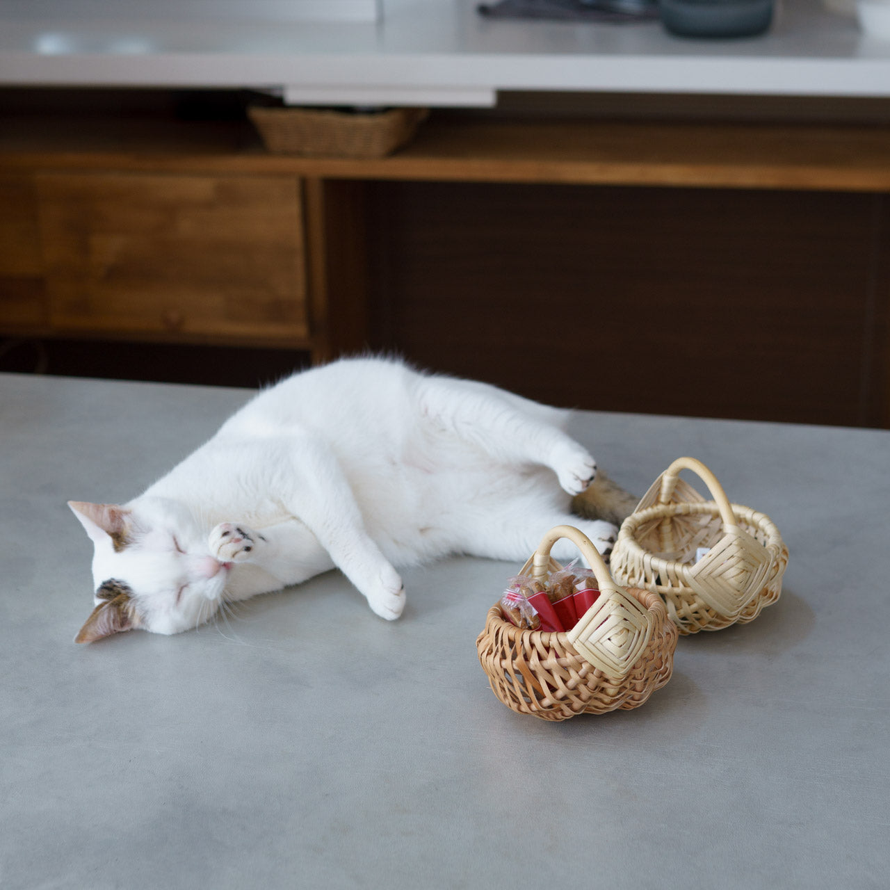 ラトビア ちいさなバスケット  Pinumu Pasaule （ピヌム・パサウレ）