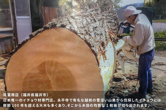 双葉商店 銀杏のまな板 丸型