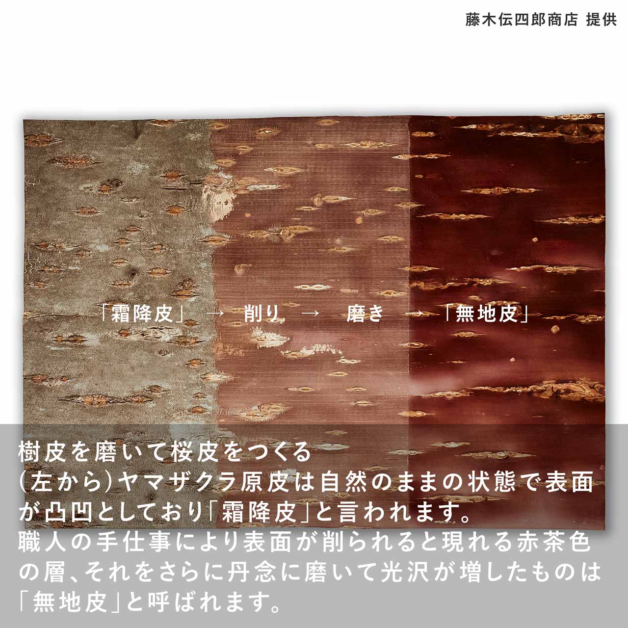 【個体で選べる】藤木伝四郎商店 キャニスターコーン 無地皮 荒川慶太郎