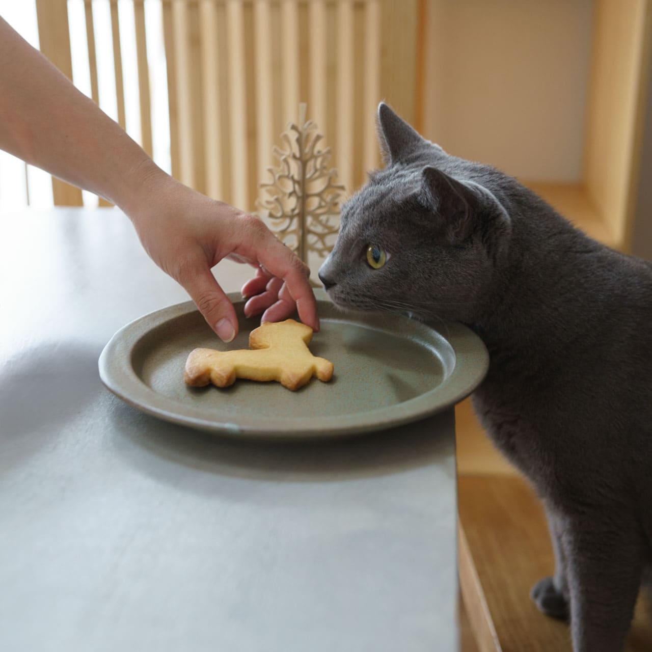 Lisa Larson クッキーカッター　/ Pluto Design