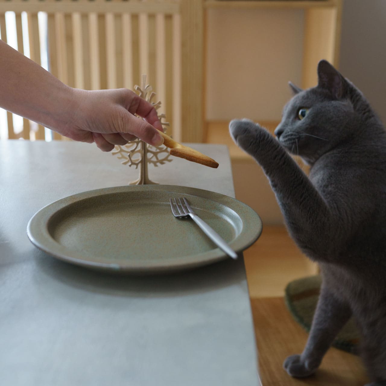 Lisa Larson クッキーカッター　/ Pluto Design