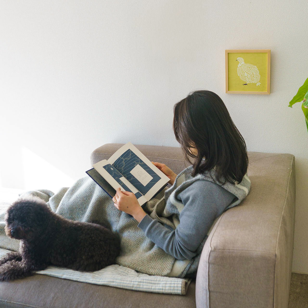 false – くらすかたち