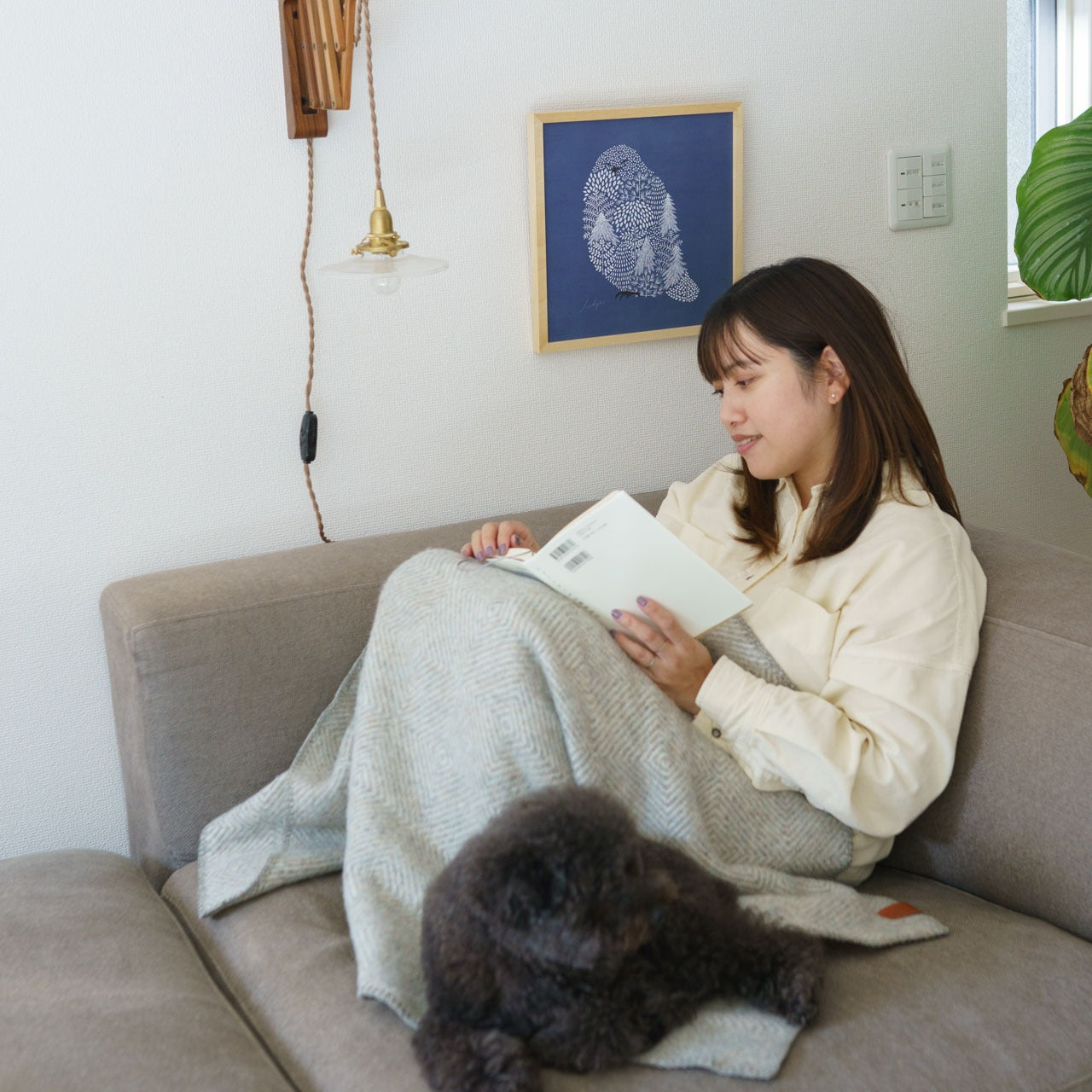 sotlight シロフクロウ 30cm アートポスター フレーム付き