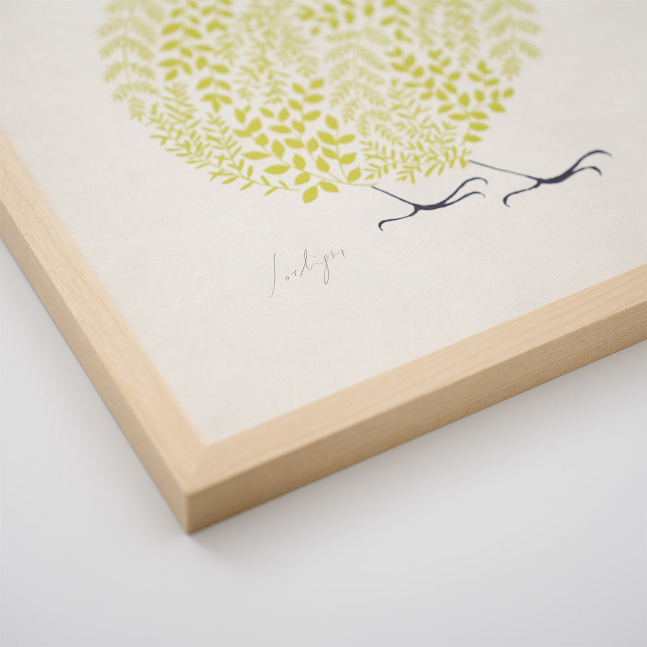 sotlight キウイ 30cm  アートポスター フレーム付き