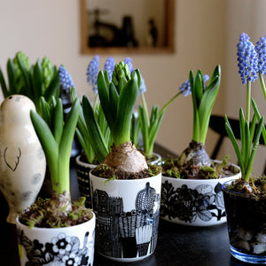 マリメッコ シイルトラプータルハ ラテマグ 196 グリーン marimekko