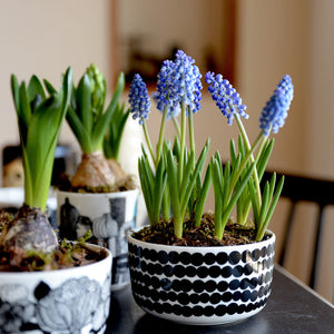 マリメッコ シイルトラプータルハ ボウル 500ml 190 ブラック