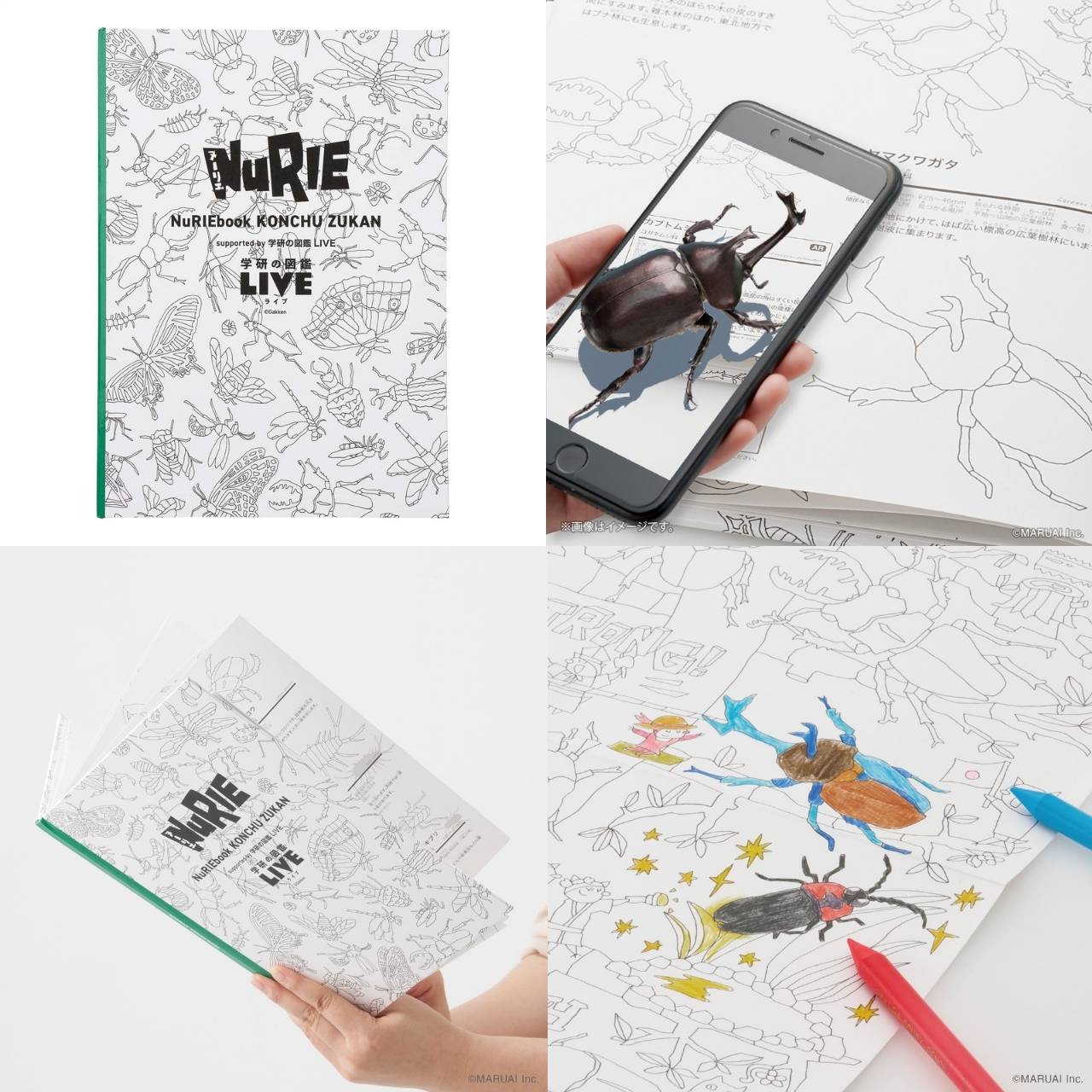 NuRIE book 長い塗り絵 (182cm) 【ARで飛び出す図鑑】 知育玩具