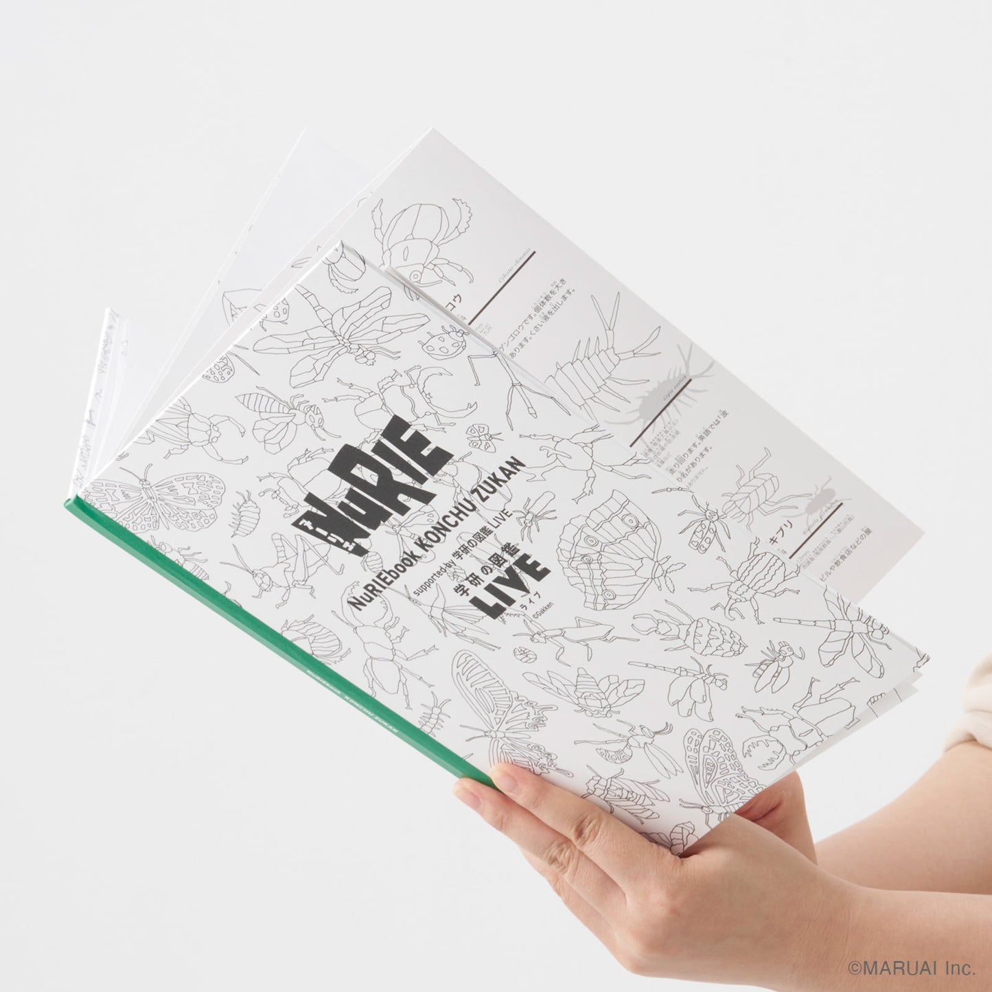 NuRIE book 長い塗り絵 (182cm) 【ARで飛び出す図鑑】 知育玩具