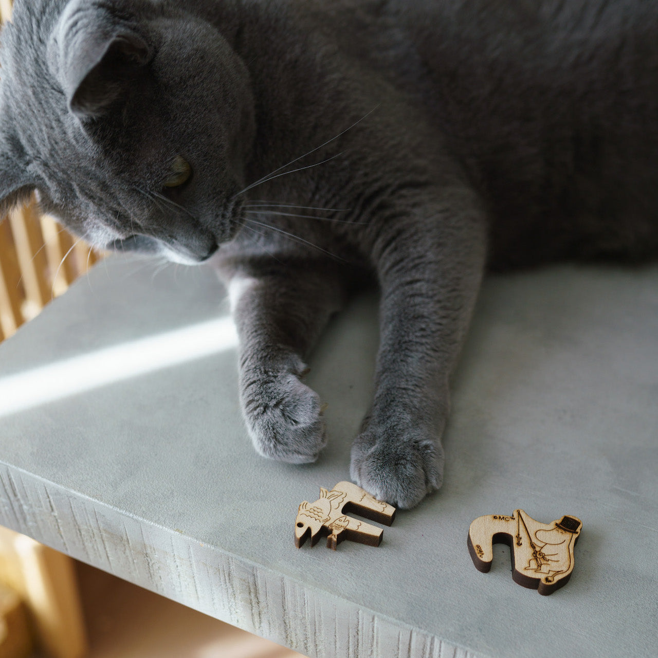 Veico ポットウォッチャー