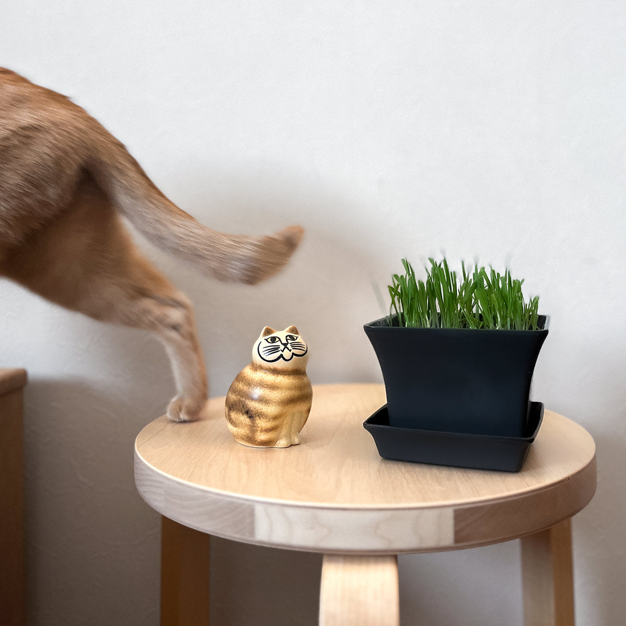 【個体で選べる】Lisa Larson リサラーソン MIA ミア S ブラウン 正規品