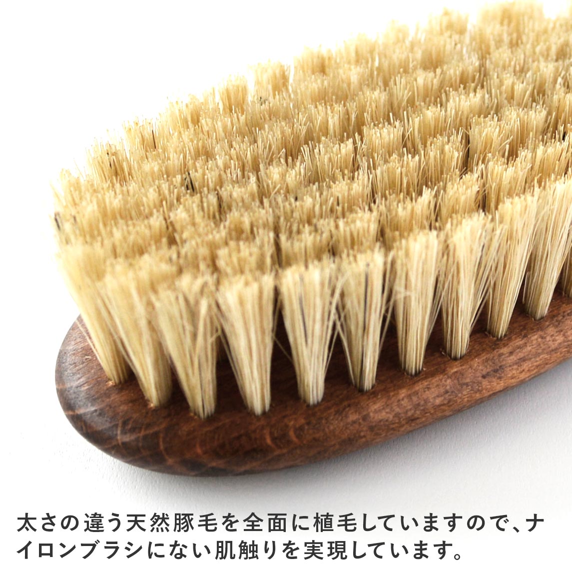 レデッカー 猫が喜ぶ キャットブラシ ＆手入れ用毛取りセット