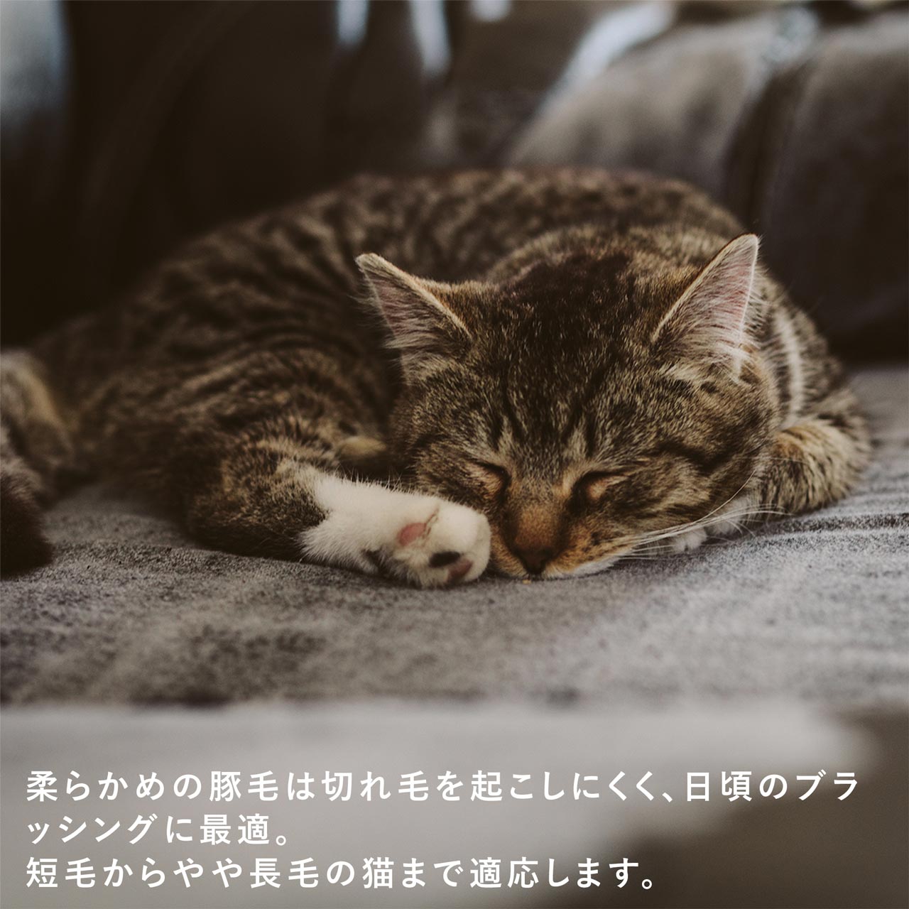 レデッカー 猫が喜ぶ キャットブラシ