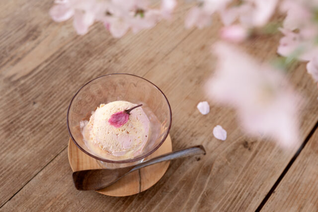 桜始開 桜アイスクリーム